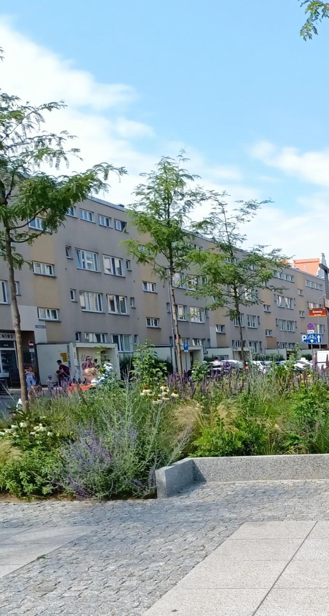 Kotlarska Apartment 弗罗茨瓦夫 外观 照片